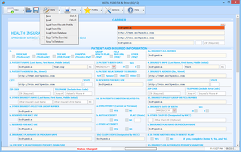 HCFA-1500 Fill & Print screenshot 2