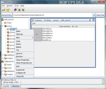 HDFView screenshot 2