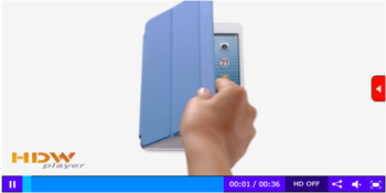 HDW Player For Wordpress screenshot 7