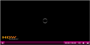 HDW Player screenshot 2