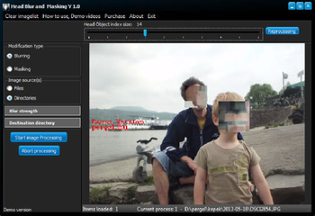 Head Blur and Masking screenshot