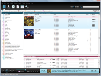 Helium Music Manager screenshot