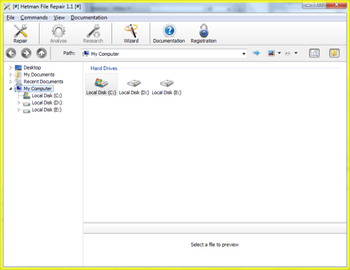 Hetman File Repair screenshot