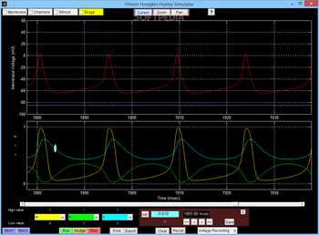 HHsim Hodgkin-Huxley Simulator screenshot