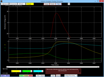 HHsim Hodgkin-Huxley Simulator screenshot 2