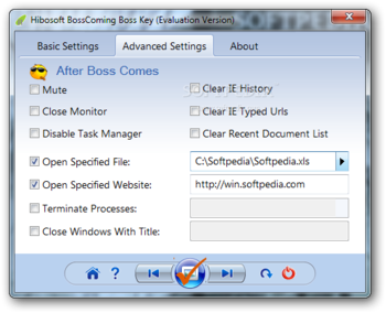 Hibosoft BossComing Boss Key Portable screenshot 2