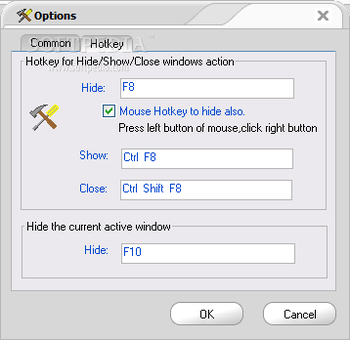 Hide Window Hotkey screenshot 3