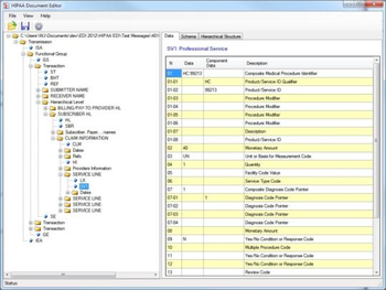 HIPAA File Editor screenshot
