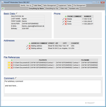 HissenIT Masterdata screenshot