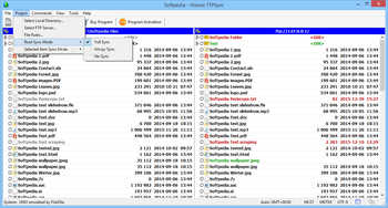 Hitonic FTPSync screenshot 2