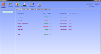 Home Budget Soft screenshot 2