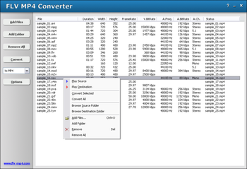 HooTech FLV MP4 Converter screenshot