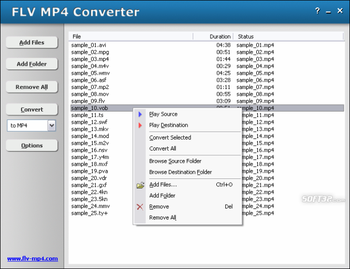 HooTech FLV MP4 Converter screenshot 2