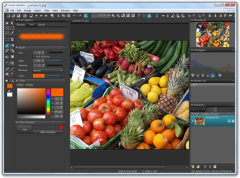 Hornil StylePix Portable screenshot