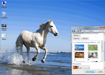 Horses Windows 7 Theme screenshot