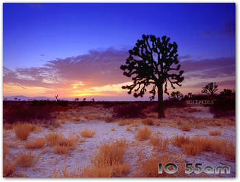 Hot Deserts Free Screensaver screenshot