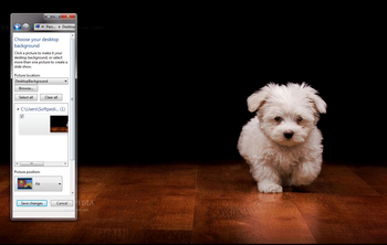 How To Train Small Dogs screenshot