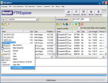 HS FTPExplorer screenshot 3