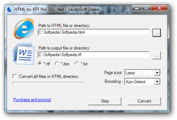 HTML-to-RTF Pro DLL .Net screenshot