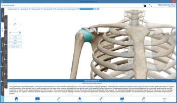 Human Anatomy Atlas SP screenshot 3