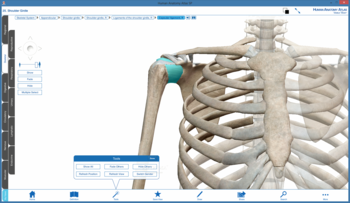Human Anatomy Atlas SP screenshot 4