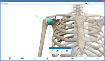 Human Anatomy Atlas SP screenshot 5