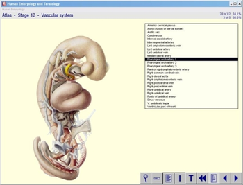 Human Embryology and Teratology screenshot 2