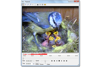 i-Catcher Wildlife screenshot