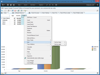 IBM Cognos Insight Personal Edition screenshot 2