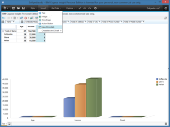 IBM Cognos Insight Personal Edition screenshot 4