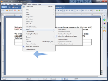 IBM Lotus Symphony screenshot 21