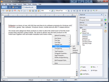 IBM Lotus Symphony screenshot 3