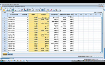 IBM SPSS Statistics screenshot