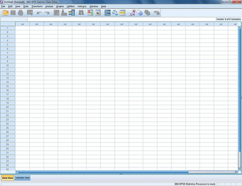 IBM SPSS Statistics screenshot 2