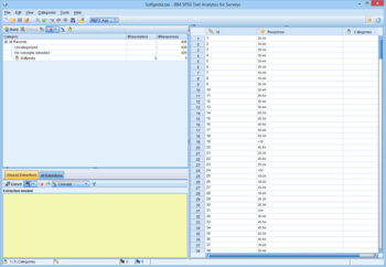 IBM SPSS Text Analytics for Surveys screenshot