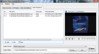 Icepine Video Converter Pro screenshot 3