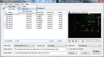Icepine Video Converter Pro screenshot 6