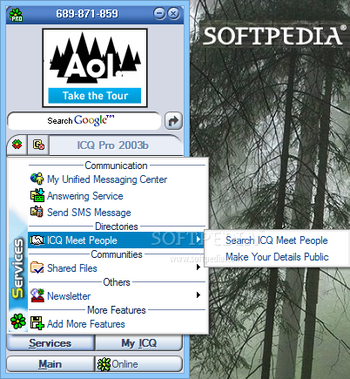 ICQ Pro 2003b screenshot 2