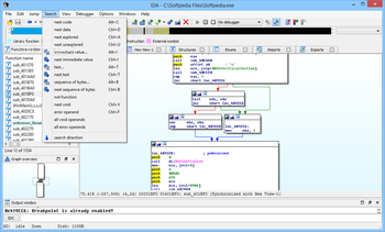 IDA screenshot 10