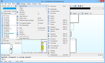 IDA screenshot 11