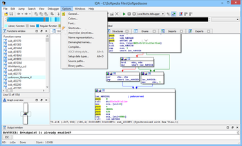 IDA screenshot 13