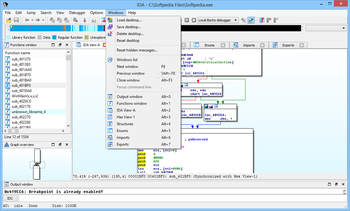 IDA screenshot 14