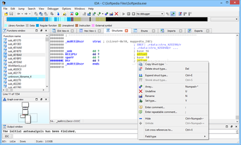 IDA screenshot 3
