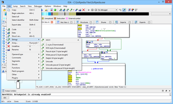 IDA screenshot 8