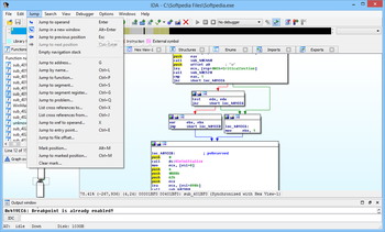 IDA screenshot 9