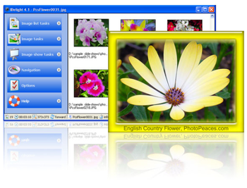 IDelight screenshot