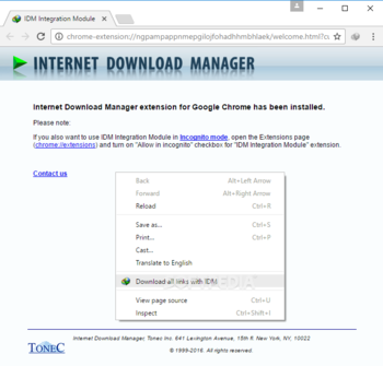 IDM Integration for Chrome screenshot