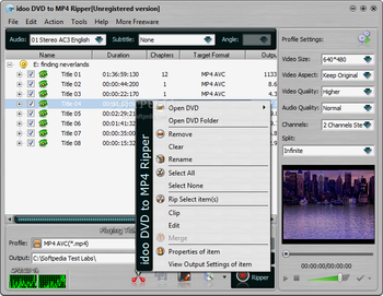 idoo DVD to MP4 Ripper screenshot