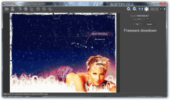 IDRMyImage Freeware screenshot 2