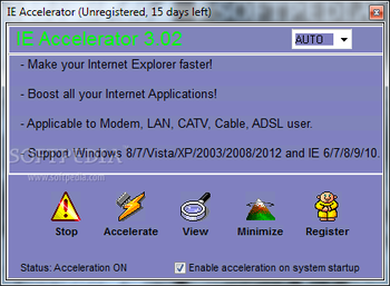 IE Accelerator screenshot